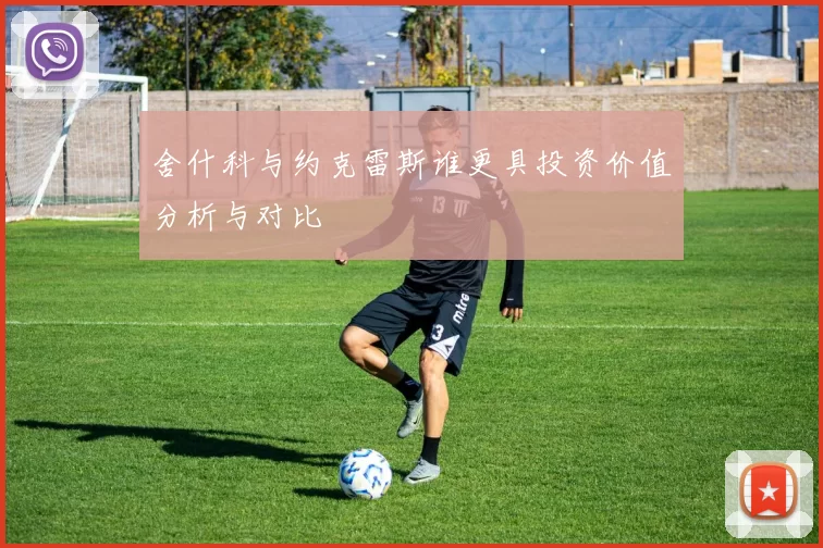 舍什科与约克雷斯谁更具投资价值分析与对比