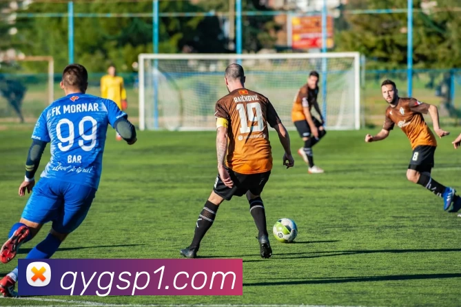 奖项证书